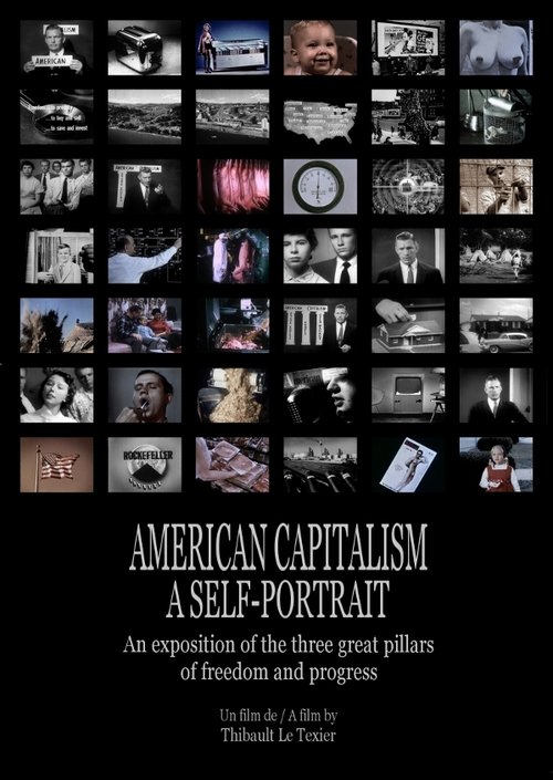 American Capitalism, A Self-Portrait 2013