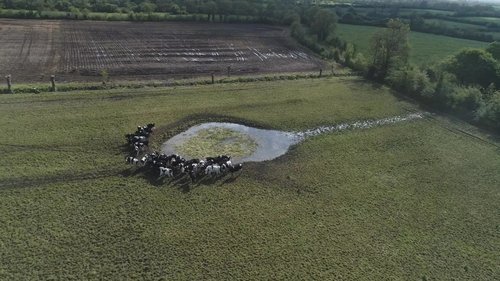 Au coeur du parc naturel régional des marais du Cotentin et du Bessin