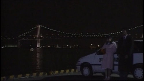 Rape Hunter, Serial Assault