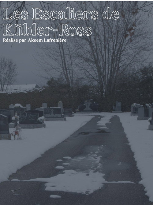 Affiche de Les Escaliers de Kübler-Ross