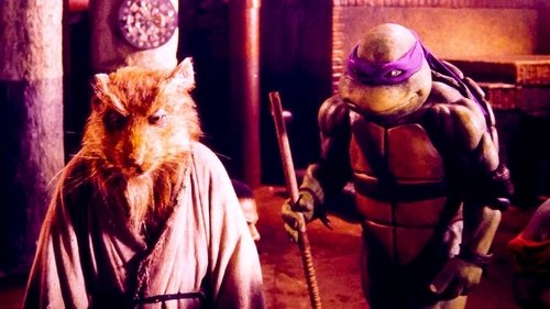 Teenage Mutant Ninja Turtles (1990) Subtitle Indonesia