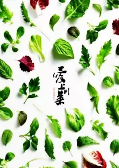 爱上川菜 (2015) poster