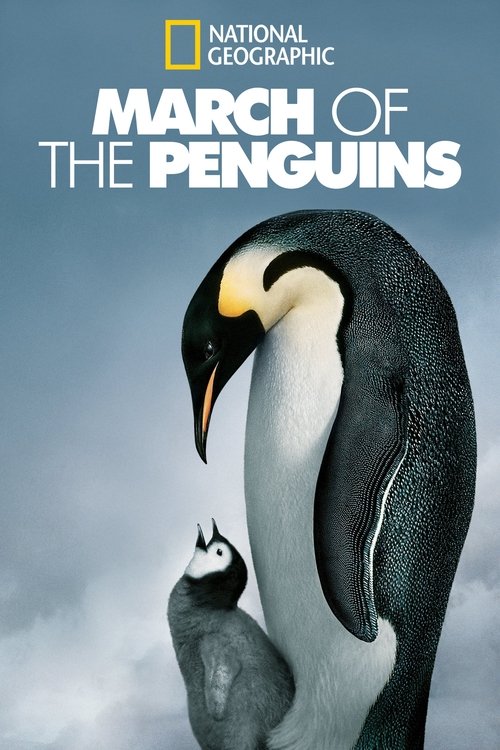 March of the Penguins poster
