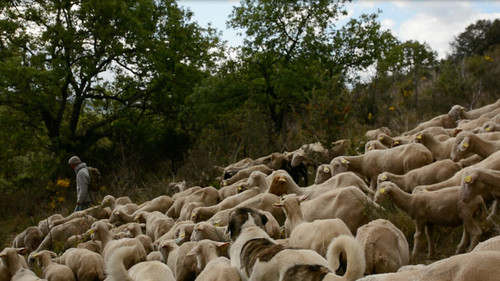 Marche ou Crève Backdrop Blur