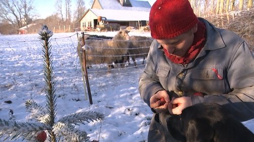 Image de l'épisode 21