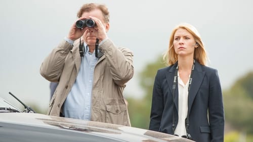 Homeland: 4×9