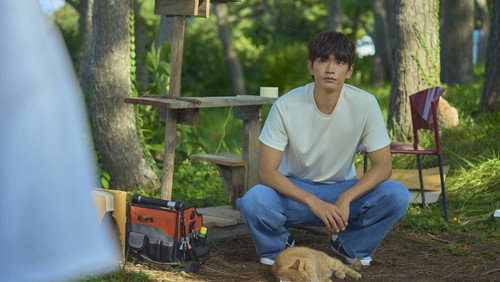 Jaquette 아주르 스프링