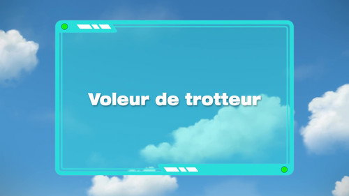 Image Voleur de trotteur