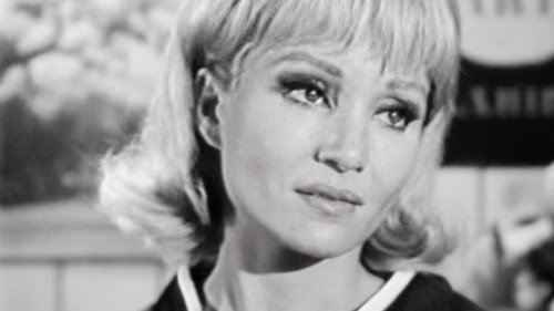 Episode #2.132 (pp-246)