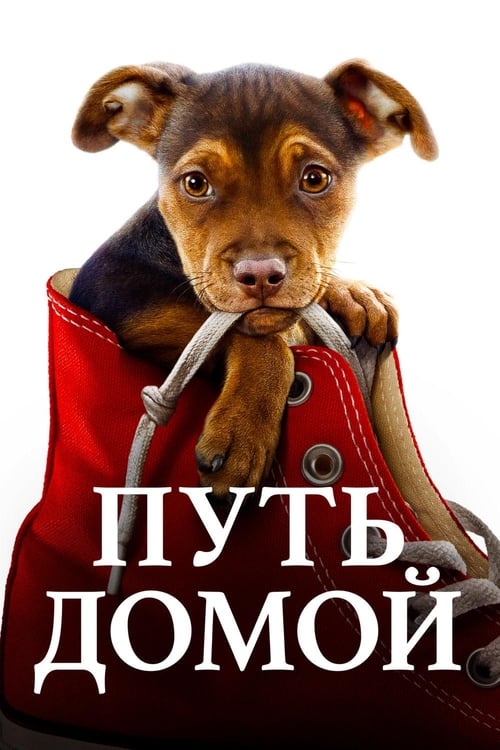 A Dog's Way Home (2019)