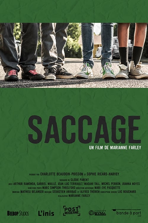 Poster Saccage 2015