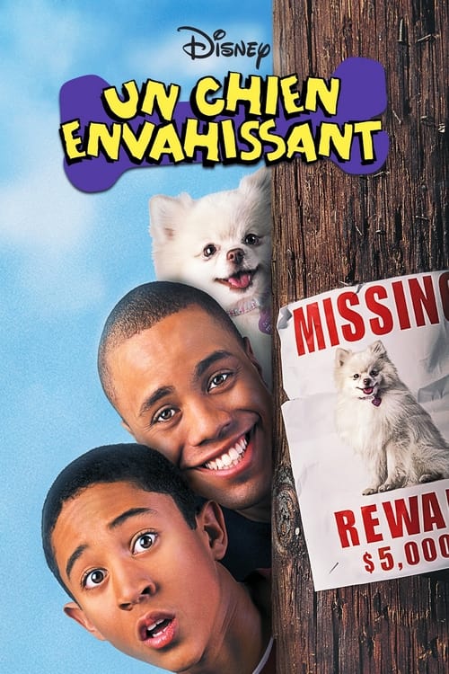 Un Chien Envahissant (2001)