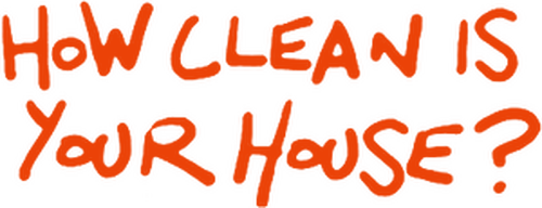 How Clean Is Your House?