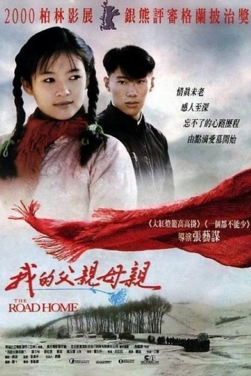 O Caminho Para Casa movie poster player