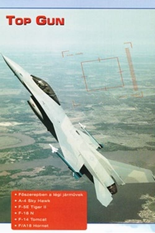 Poster Combat in the Air - Top Gun 1997