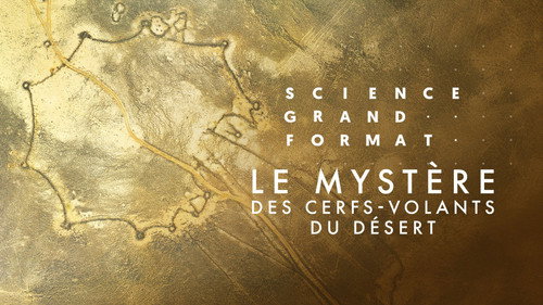 Image Le mystère des cerfs-volants du désert