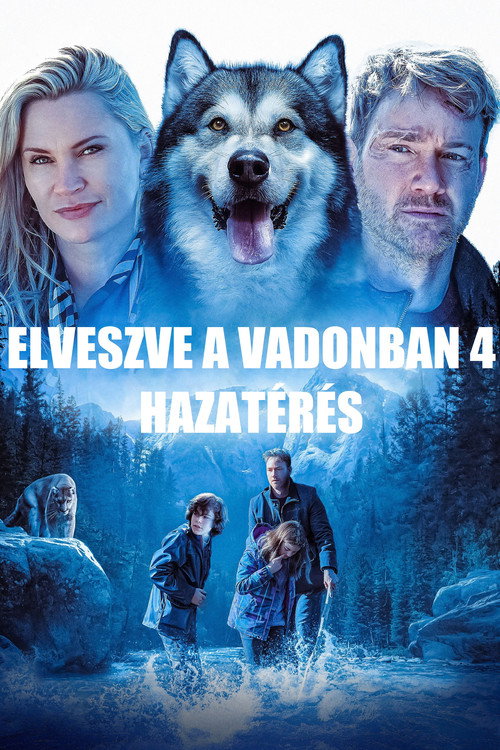 Elveszve a vadonban 4. - Hazatérés poszter