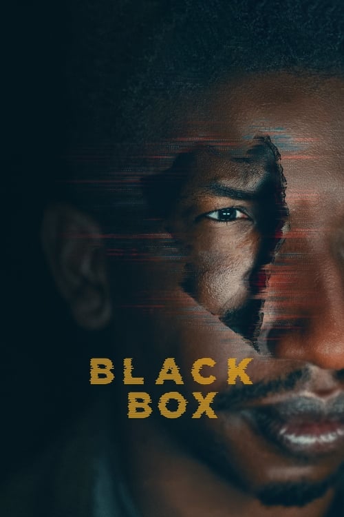 Largescale poster for Black Box