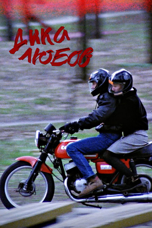 Wild Love poster
