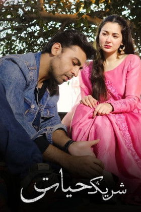 Meray Humsafar - Poster