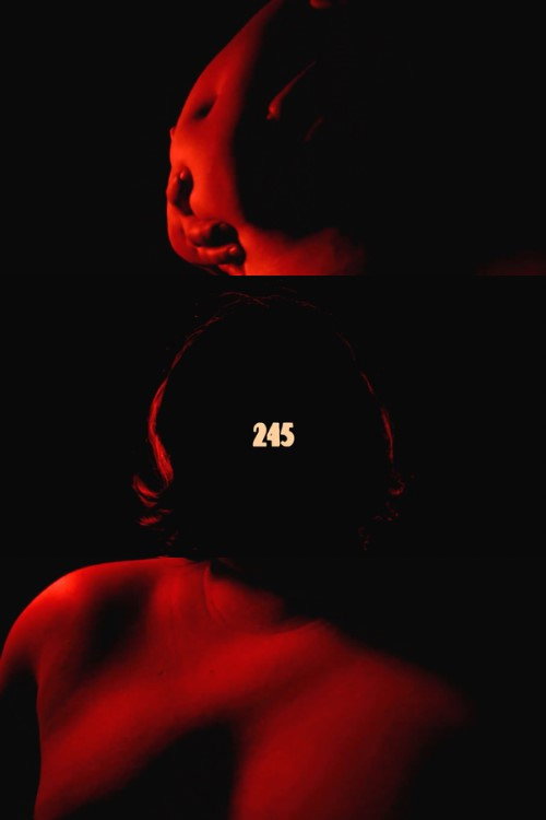 245 still 2