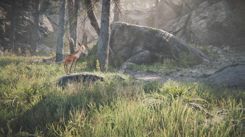 Echo Backdrop Blur