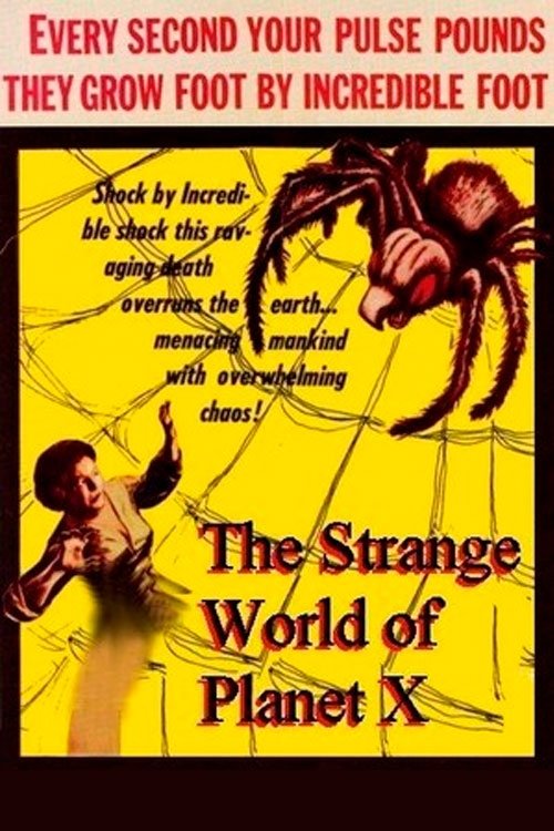 Poster 3