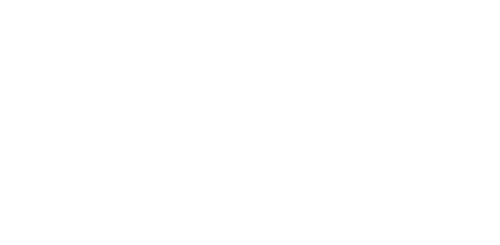 New Life Begins