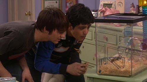 Poster della serie Drake & Josh