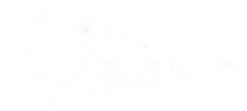 The Donna Reed Show