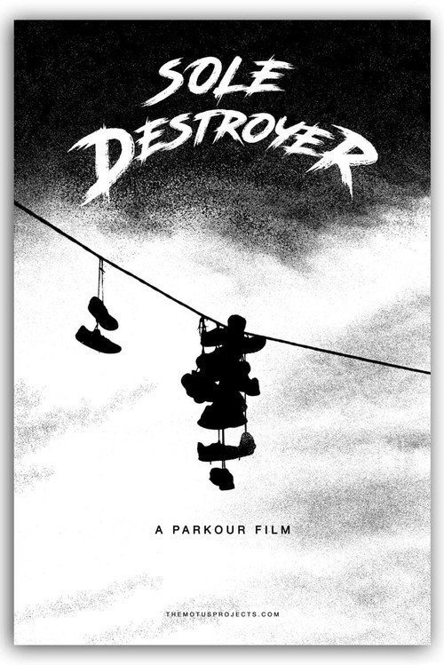 Sole Destroyer