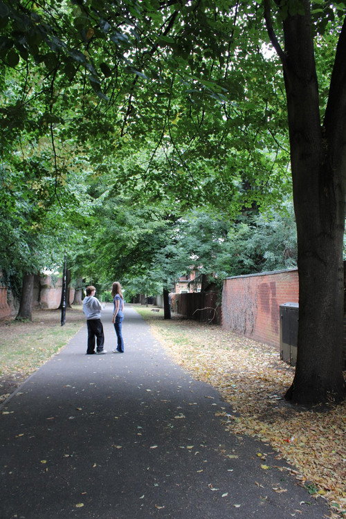 Scenes from a First Date