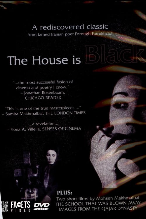 Grootschalige poster van The House Is Black