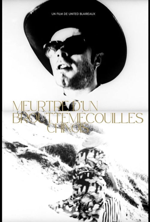 Murder of a Chinese Cocksucker poster