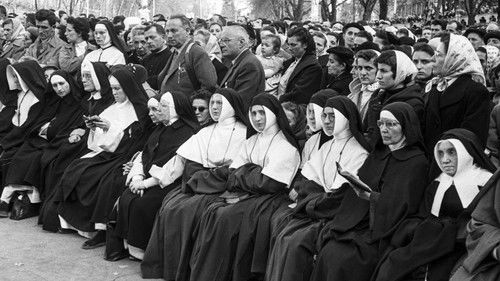 Catholics vs Protestants