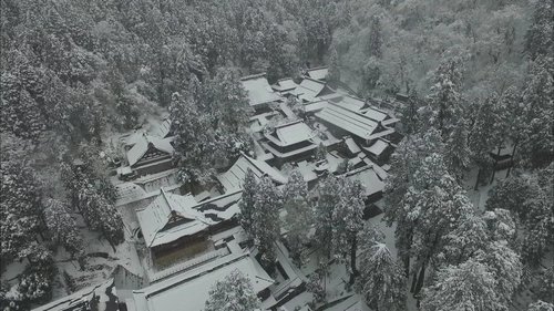 Image de l'épisode 8