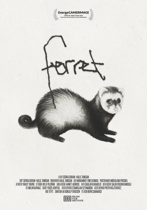 no_movie_cover