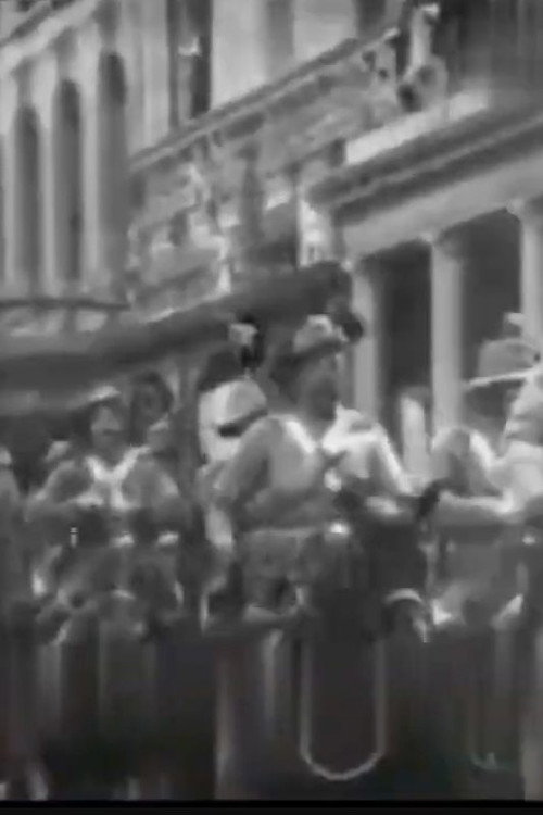 The Australian Mounted Rifle Volunteers