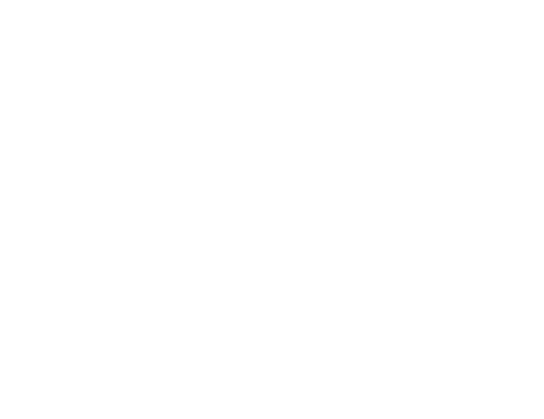 El jugador de ajedrez