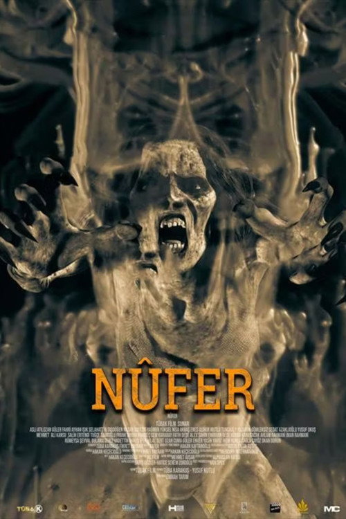 Nûfer