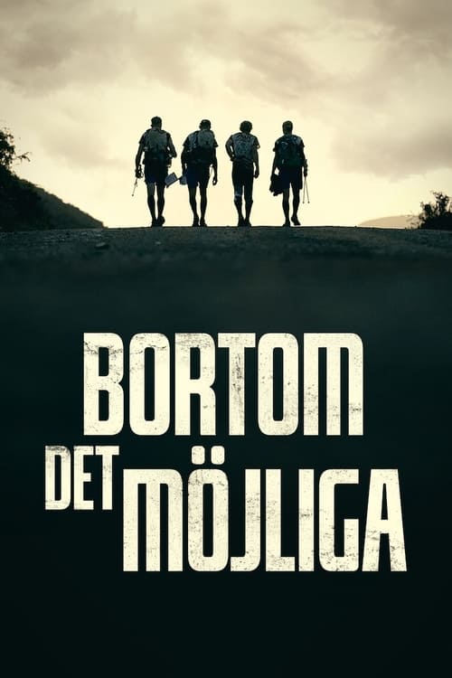 Bortom det möjliga