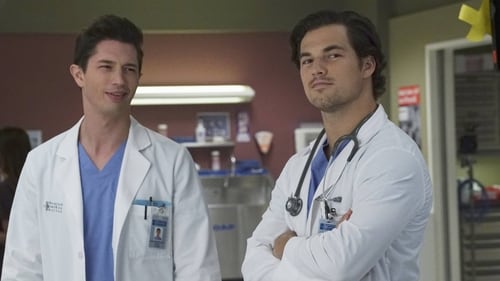 Grey's Anatomy - Season 12 - Episode 3: I Choose You