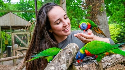 Image de l'épisode 14