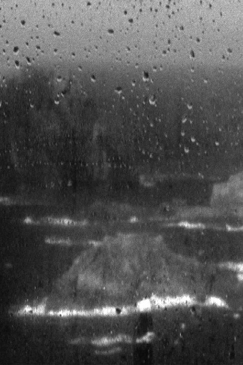 Estuary