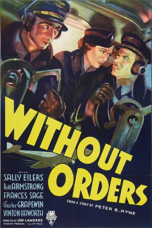 Poster 3