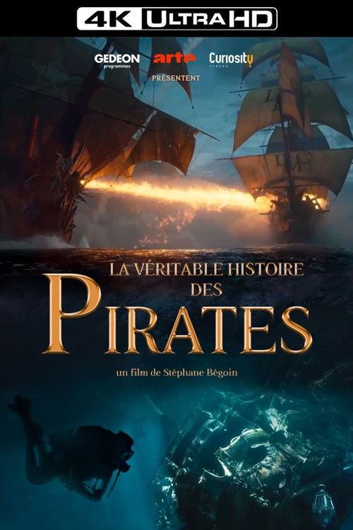 The True Story of Pirates poster