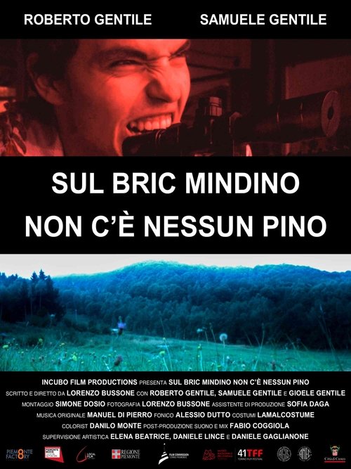 Sul Bric Mindino non c'è nessun pino