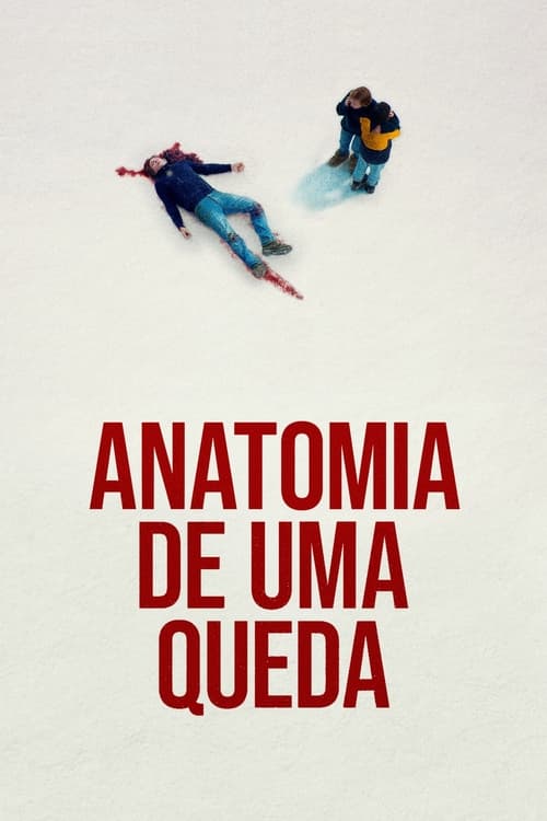 Poster do filme Anatomie d'une chute