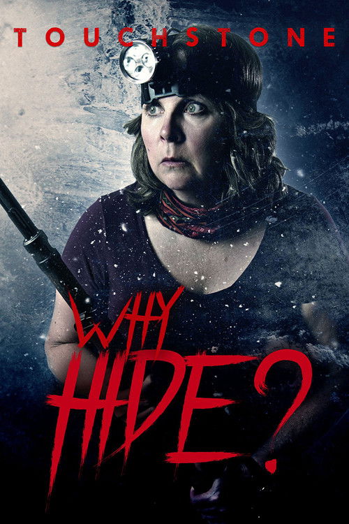 Why Hide? poster