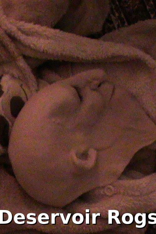 Deservoir Rogs